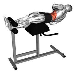 Glute ham twist