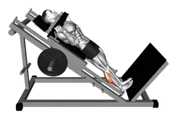 Calf raise hack