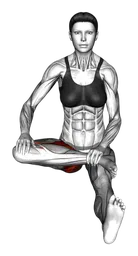 Mezzo lotus pulse