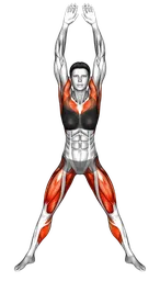 Mezzo plyo squat jack