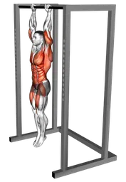 Sollevamento front lever in sospensione