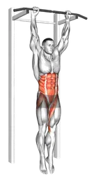 Sollevamento gambe e anche in sospensione
