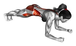 Plank con rotazione delle anche