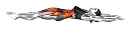 Mantenimento hollow