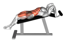 Sollevamento gambe su panca inclinata (gambe tese)