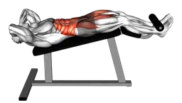 Sit-up obliqui su panca inclinata (variante 2)