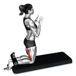 Leg curl inverso con cuscini da panca