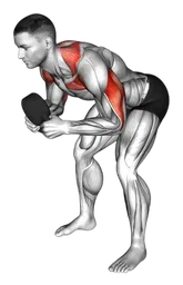 Pressa inclinata con kettlebell