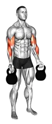 Curl bicipiti con kettlebell