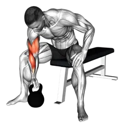 Concentration curl con kettlebell