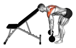 Rematore con supporto per la testa con kettlebell
