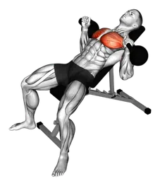 Panca inclinata con kettlebell