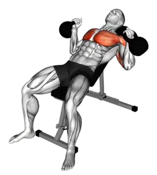Hammer press su panca inclinata con kettlebell
