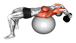 Pullover su stability ball con kettlebell