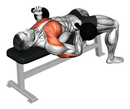 Distensioni su panca inverse con kettlebell
