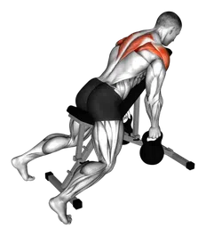 Croci inverse con kettlebell (Kettlebell)