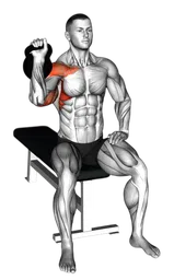 Military press a un braccio da seduto con kettlebell