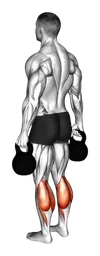 Calf raise in piedi con kettlebell