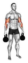 Reverse curl in piedi con kettlebell