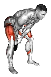 Swing a goblet squat con kettlebell