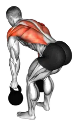 Rematore a due braccia con kettlebell