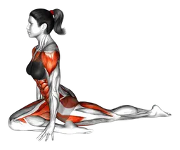 Posizione del piccione reale yoga