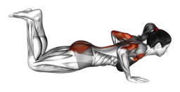 Piegamenti cobra in ginocchio