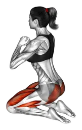 Hip thrust in ginocchio