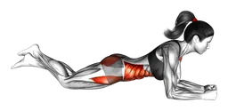Plank in ginocchio