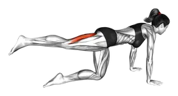 Leg curl singolo in ginocchio