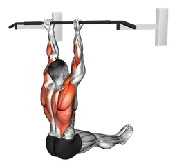 Chin-up seduto a L