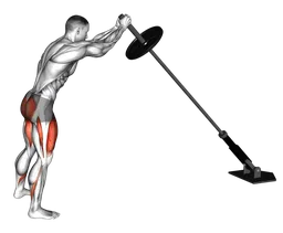 Squat landmine