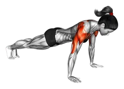 Push-up a terra