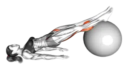 Leg curl su fitball