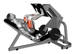 Leg press angolata alla macchina