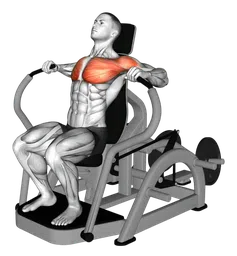 Chest press alla macchina (variante 4)