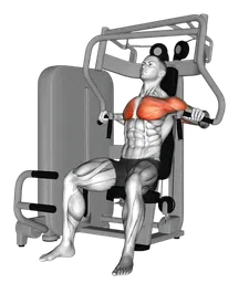 Chest press alla macchina (variante 5)