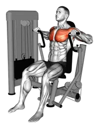 Chest press alla macchina