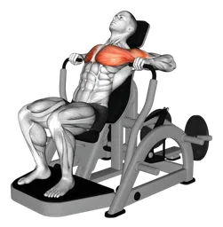 Decline chest press alla macchina (variante 2)