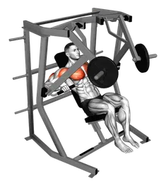 Decline chest press alla macchina