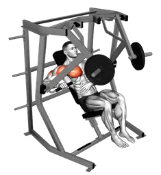 Decline chest press a un braccio alla macchina