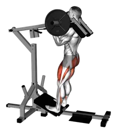 Squat elevato alla macchina
