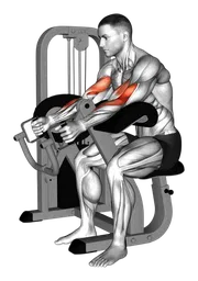 Preacher curl presa a martello alla macchina