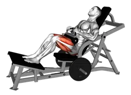 Hip thrust alla macchina (carico a piastre)