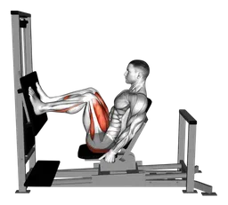 Leg press orizzontale alla macchina