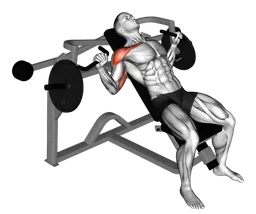 Incline chest press alla macchina (carico a piastre)