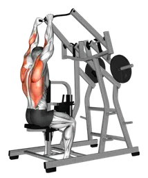 Lateral pulldown alla macchina (carico a piastre)