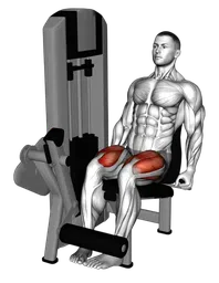 Leg extension alla macchina (punte piedi in dentro)