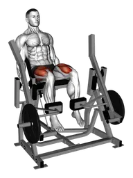 Leg extension alla macchina (carico a piastre)