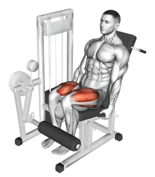Leg extension alla macchina